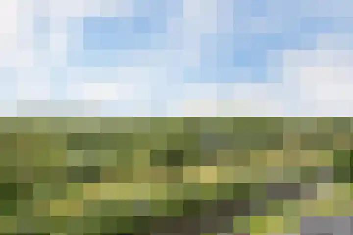 Wijde Wormer 135 Capelle aan den IJssel thumbnail 43