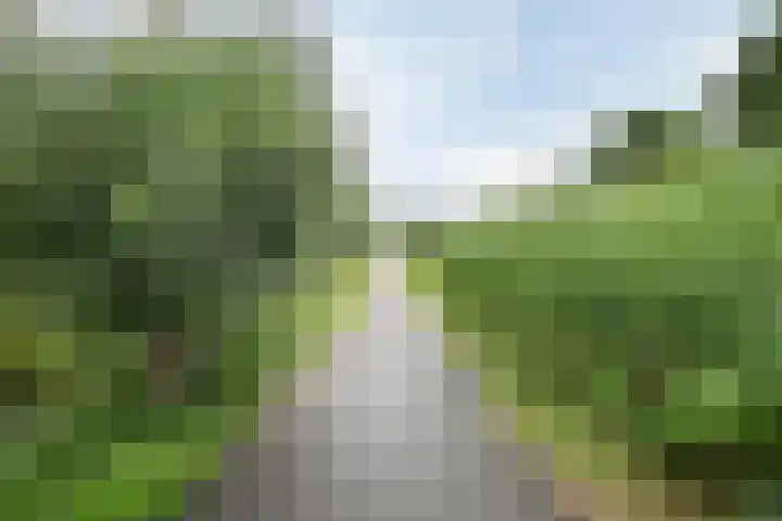 Wijde Wormer 135 Capelle aan den IJssel thumbnail 44