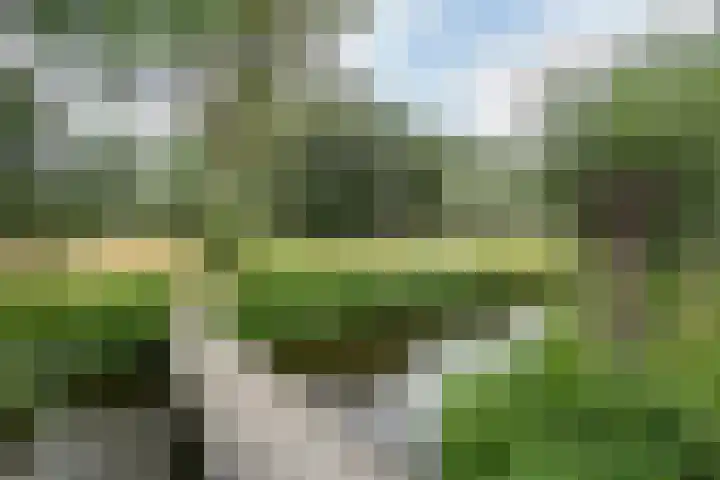 Wijde Wormer 135 Capelle aan den IJssel thumbnail 45
