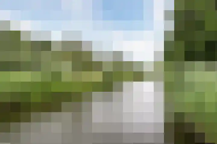 Wijde Wormer 135 Capelle aan den IJssel thumbnail 46