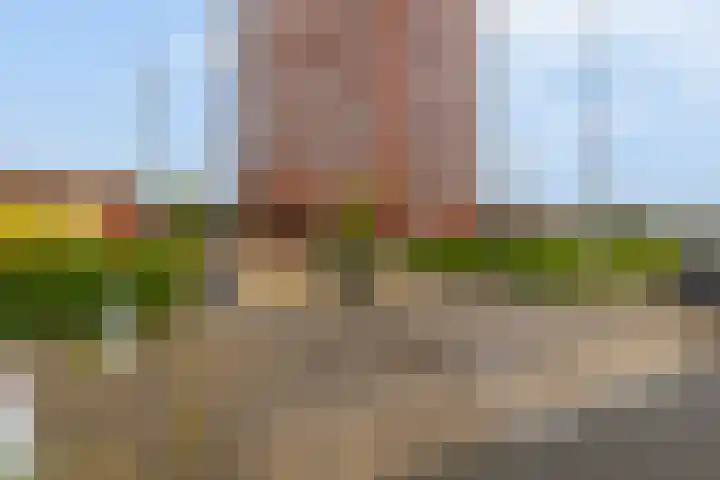 Wijde Wormer 135 Capelle aan den IJssel thumbnail 5