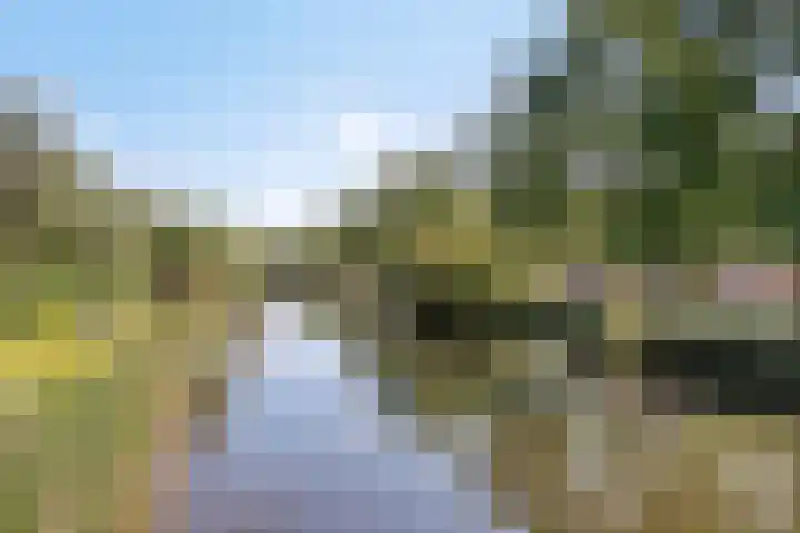 Wijde Wormer 149 Capelle aan den IJssel thumbnail 22