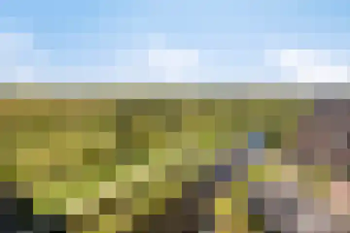 Wijde Wormer 149 Capelle aan den IJssel thumbnail 4