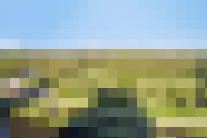 Wijde Wormer 149 Capelle aan den IJssel thumbnail 8