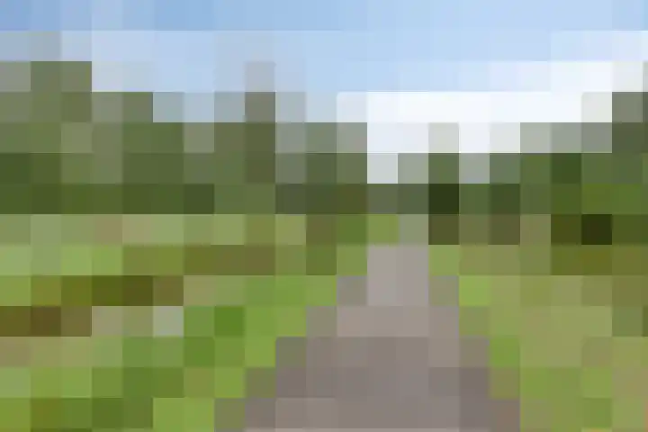 Wijde Wormer 177 Capelle aan den IJssel thumbnail 33