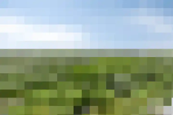 Wijde Wormer 177 Capelle aan den IJssel thumbnail 4