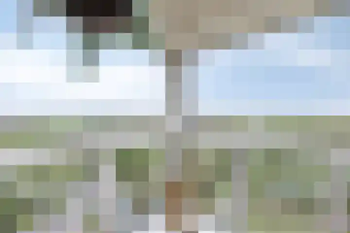 Wijde Wormer 177 Capelle aan den IJssel thumbnail 8