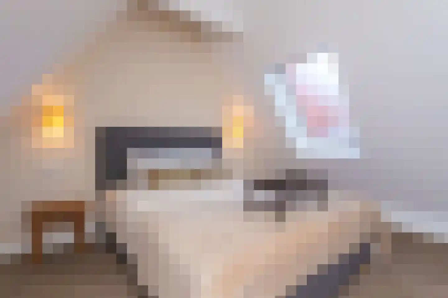 Wijdebrugsteeg 2 Hoorn thumbnail 21