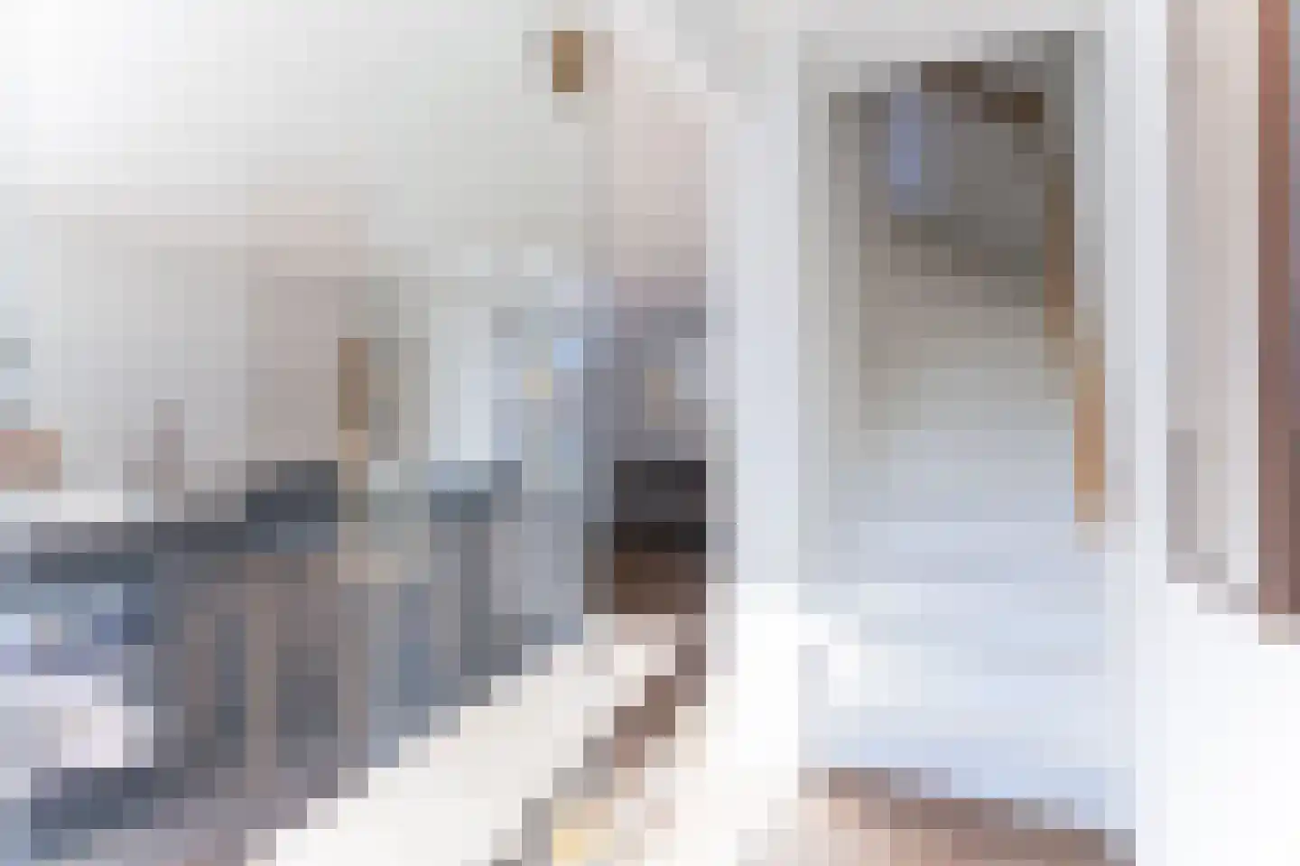 Wijdebrugsteeg 4 Hoorn thumbnail 10