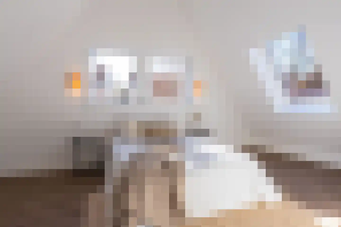 Wijdebrugsteeg 4 Hoorn thumbnail 25