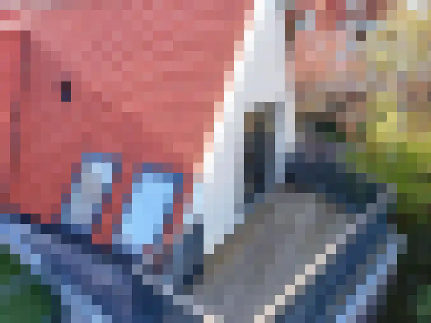 Wijdebrugsteeg 4 Hoorn thumbnail 33
