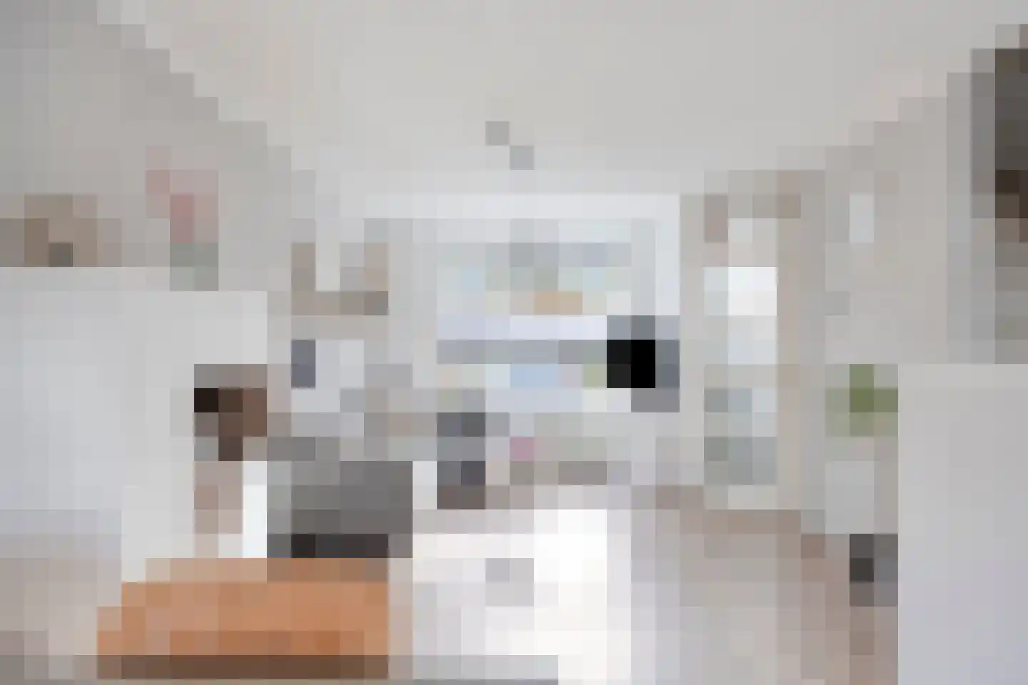 Wijdehof 44 Rotterdam thumbnail 4