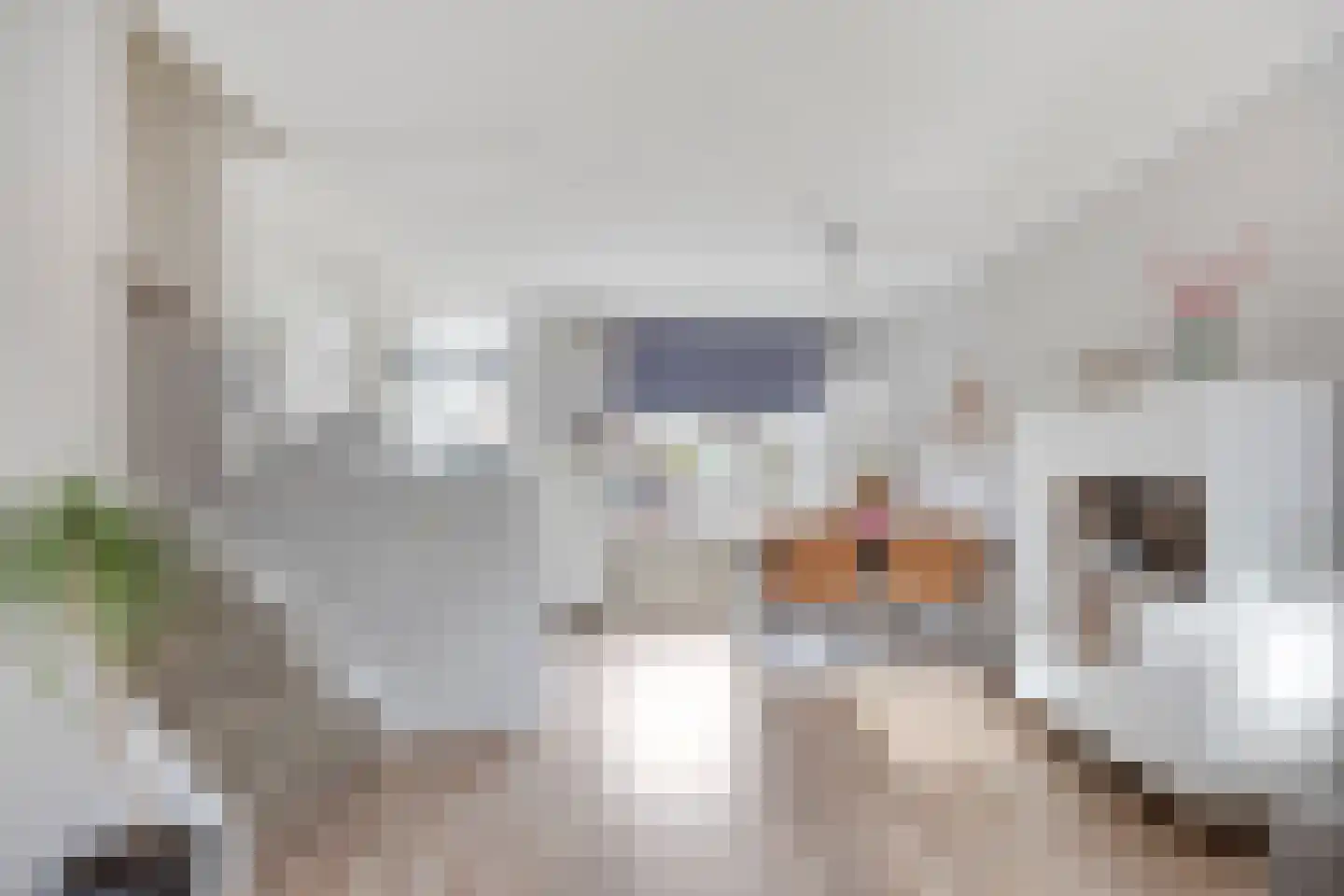 Wijdehof 44 Rotterdam thumbnail 5