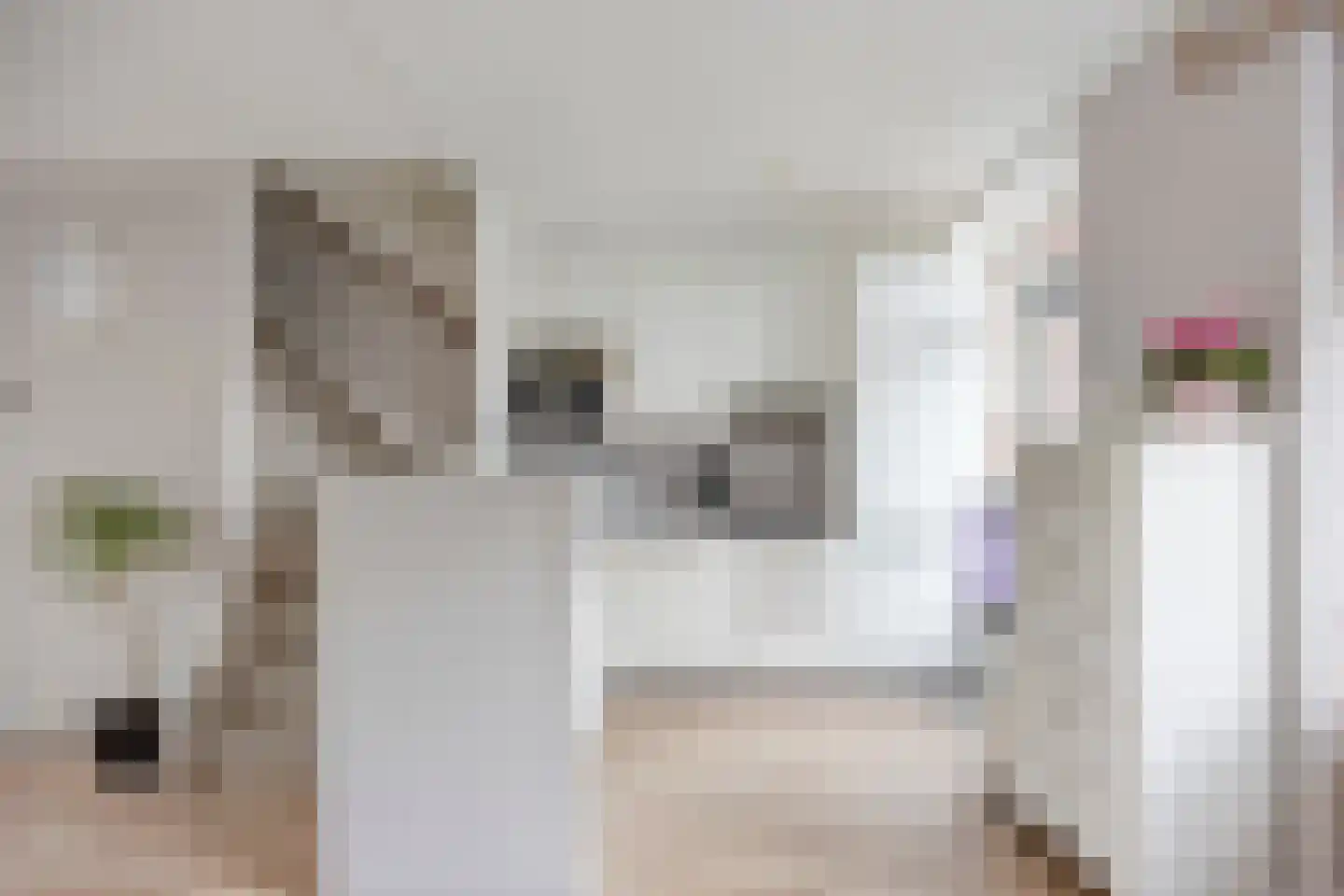 Wijdehof 44 Rotterdam thumbnail 7