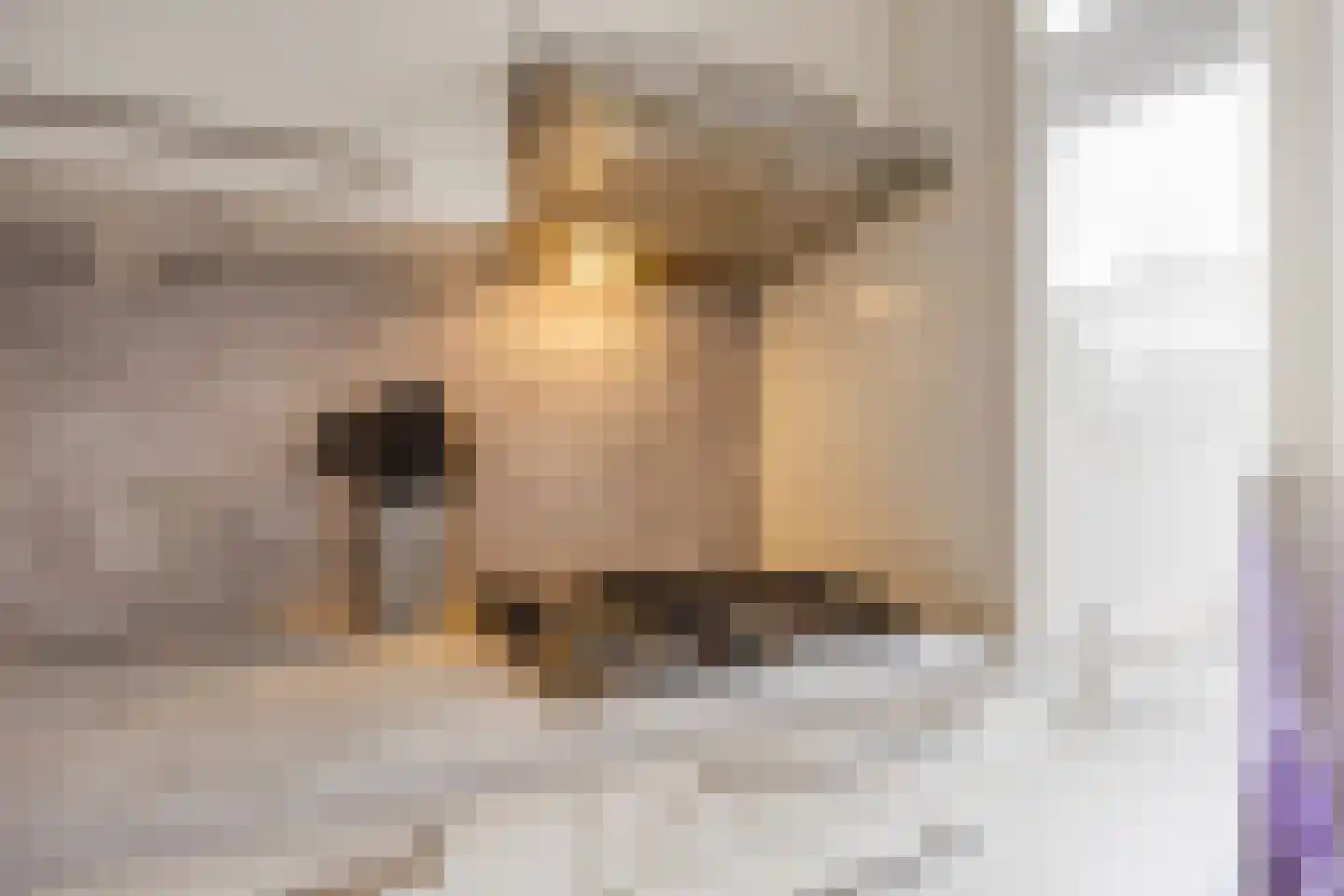 Wijdehof 44 Rotterdam thumbnail 8
