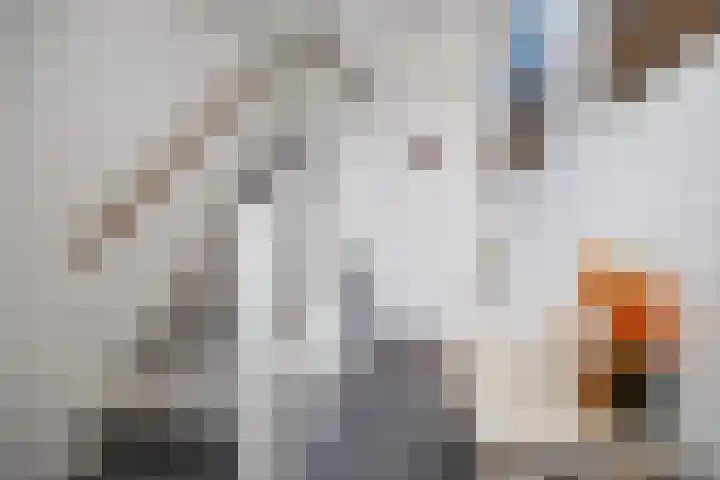 Wijdenesstraat 15 Breda thumbnail 12