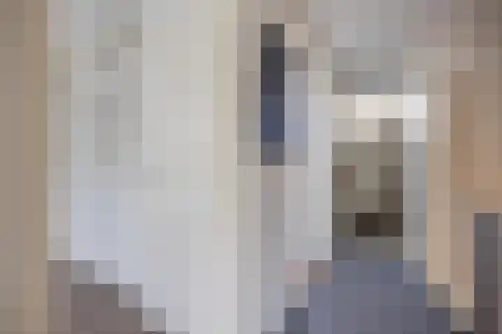 Wijdenesstraat 15 Breda thumbnail 29
