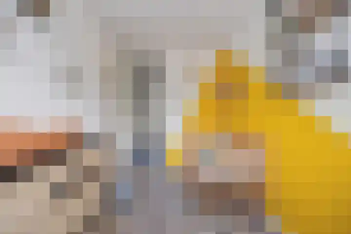 Wijdenesstraat 15 Breda thumbnail 31