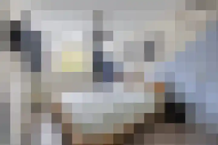 Wijdenesstraat 15 Breda thumbnail 32