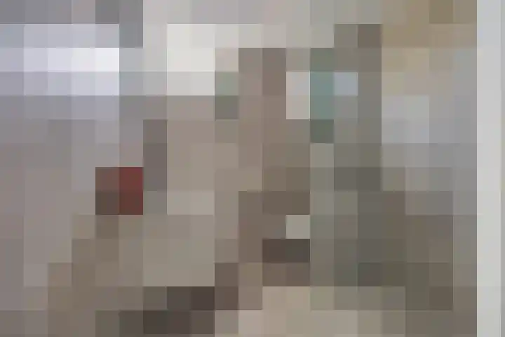 Wijdenesstraat 15 Breda thumbnail 37