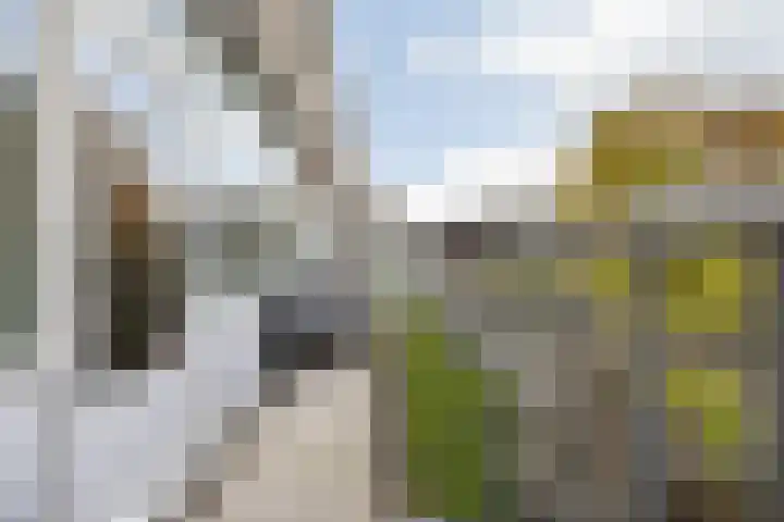 Wijdenesstraat 15 Breda thumbnail 39