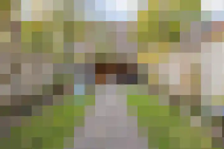 Wijdenesstraat 15 Breda thumbnail 43
