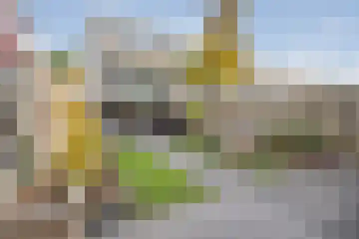 Wijdenesstraat 15 Breda thumbnail 5