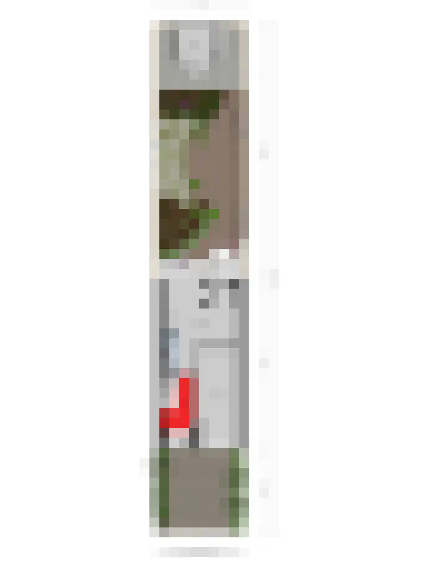 Wijdenesstraat 7 Breda thumbnail 12