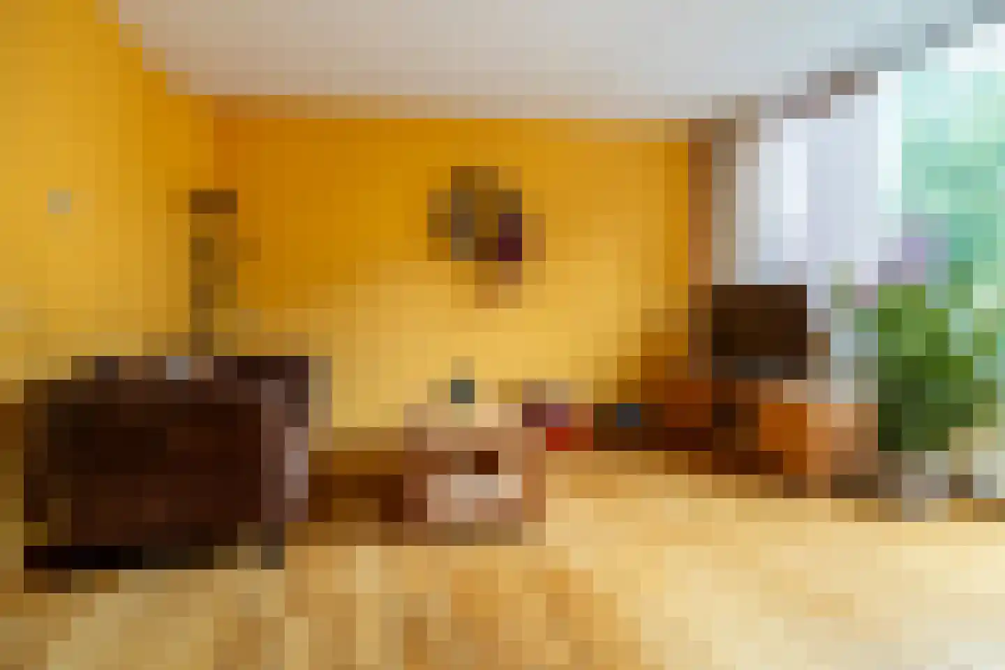 Wijdenesstraat 7 Breda thumbnail 17