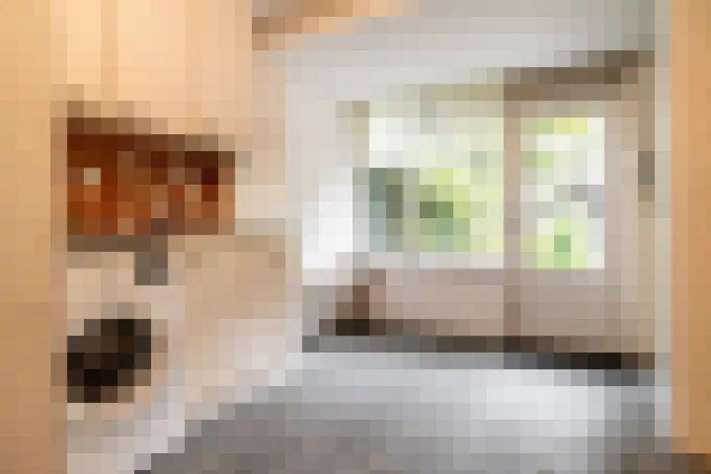 Wijdenesstraat 7 Breda thumbnail 5