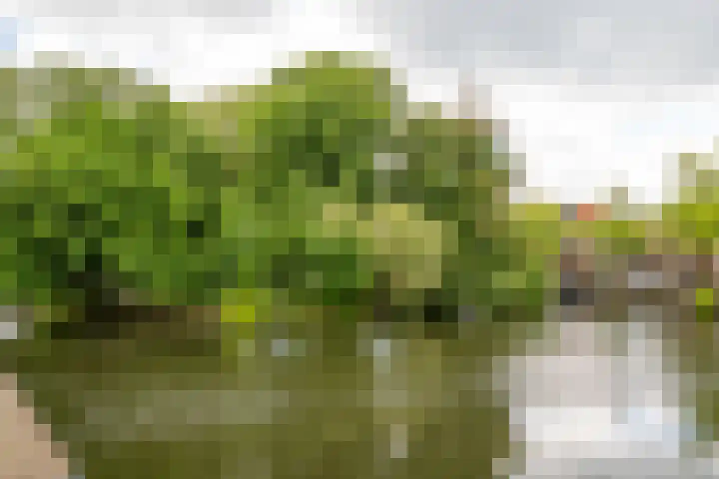 Wijdesteeg 12 Hoorn thumbnail 22
