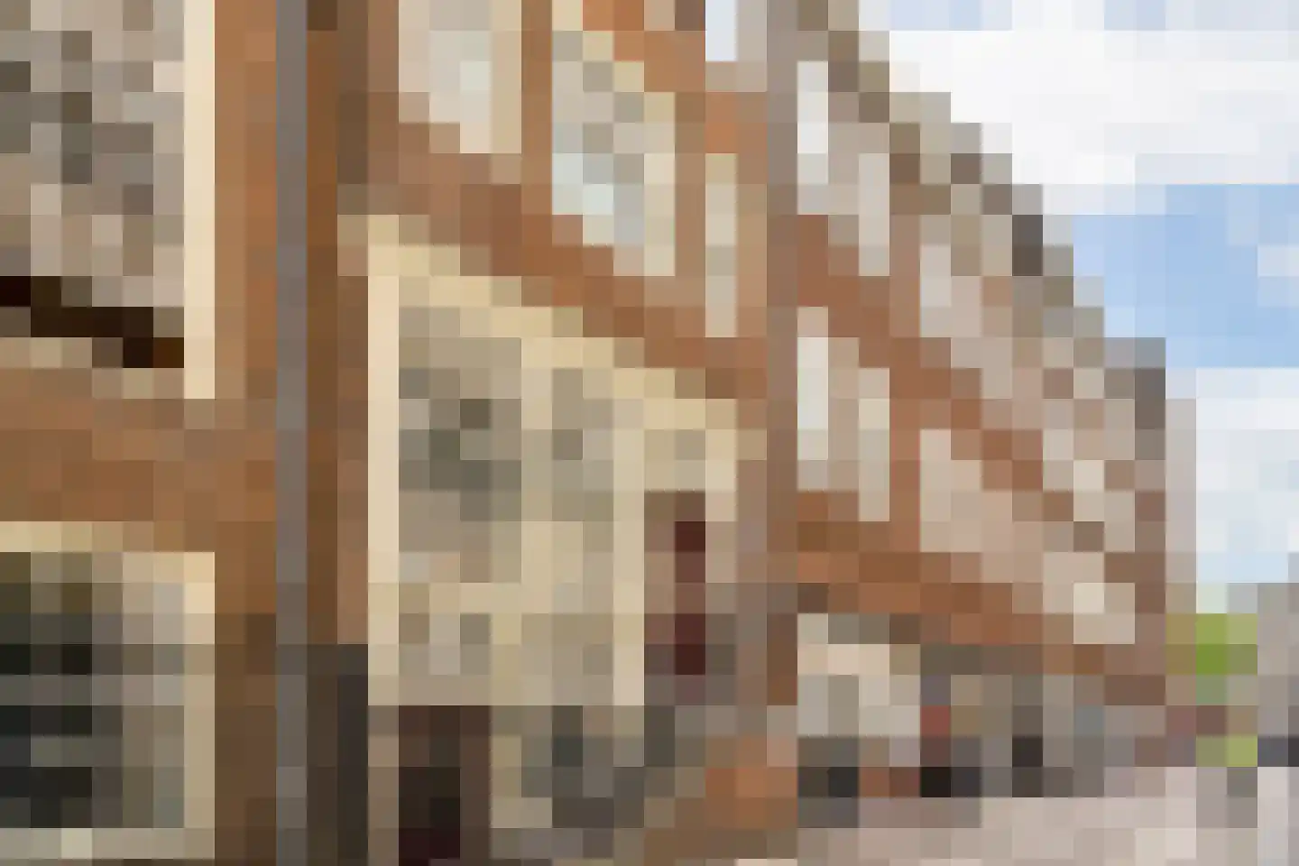 Wijdesteeg 3 E Amsterdam
