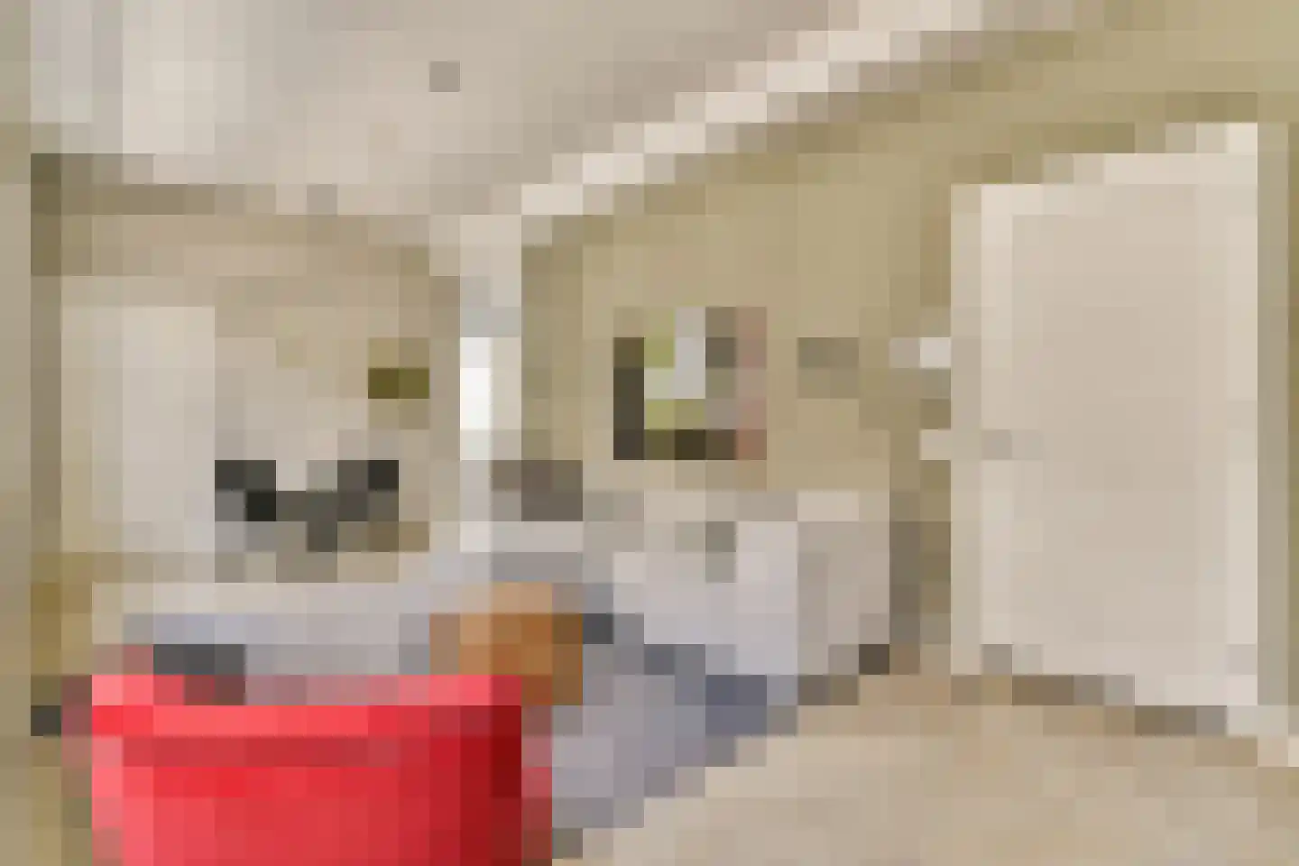 Wijdesteeg 3 E Amsterdam thumbnail 5