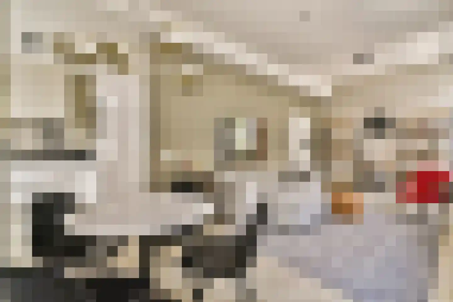 Wijdesteeg 3 E Amsterdam thumbnail 6