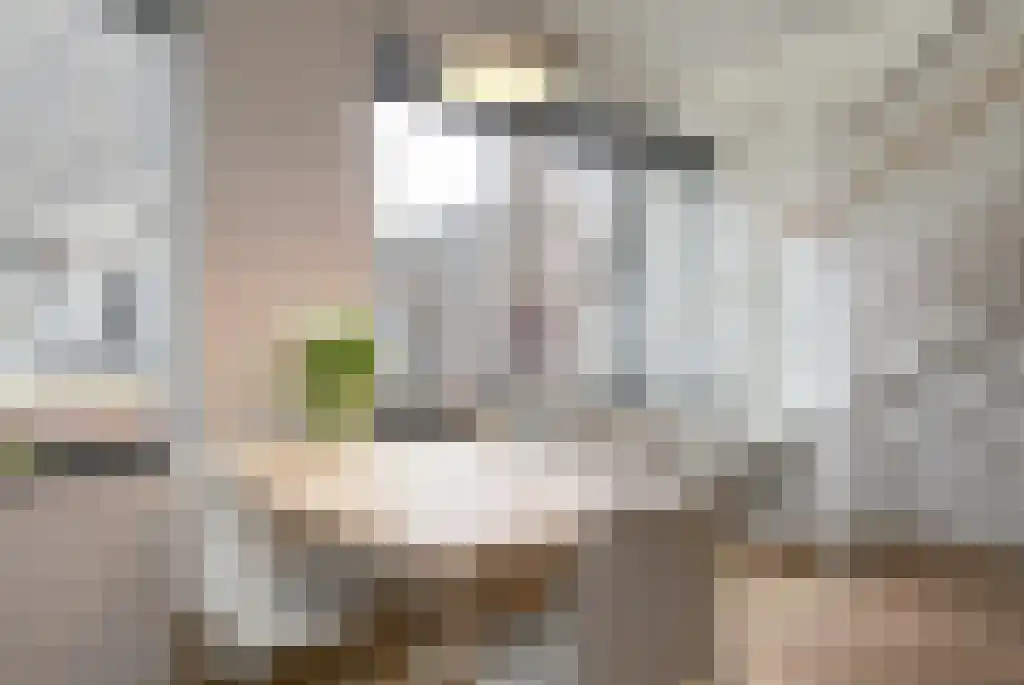 Wijdesteeg 62 Amsterdam thumbnail 13