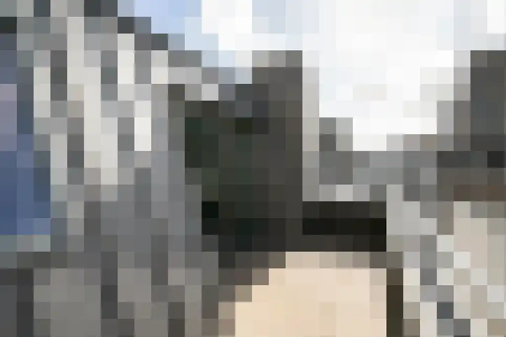 Wijdesteeg 62 Amsterdam thumbnail 17