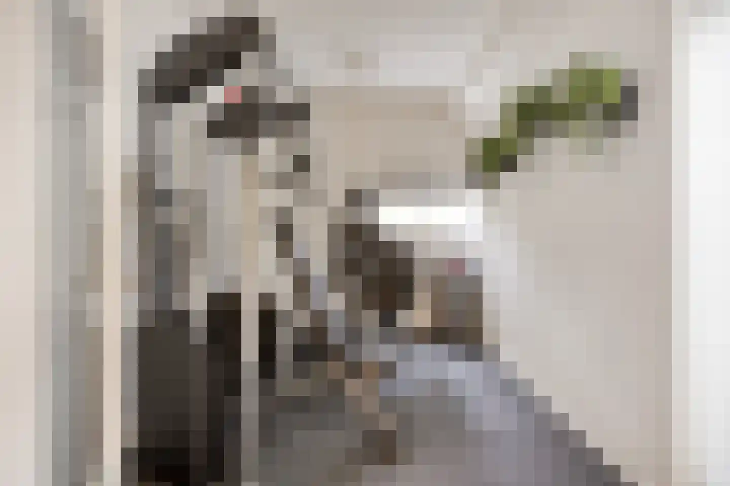 Wijdstraat 16 Oudewater thumbnail 13