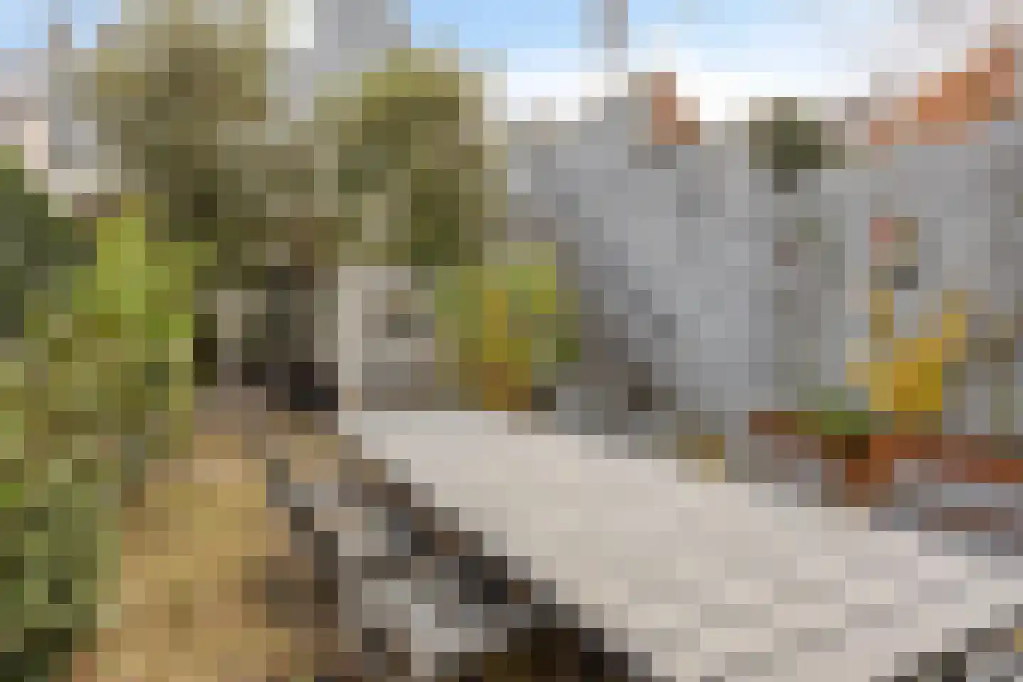 Wijdstraat 16 Oudewater thumbnail 15