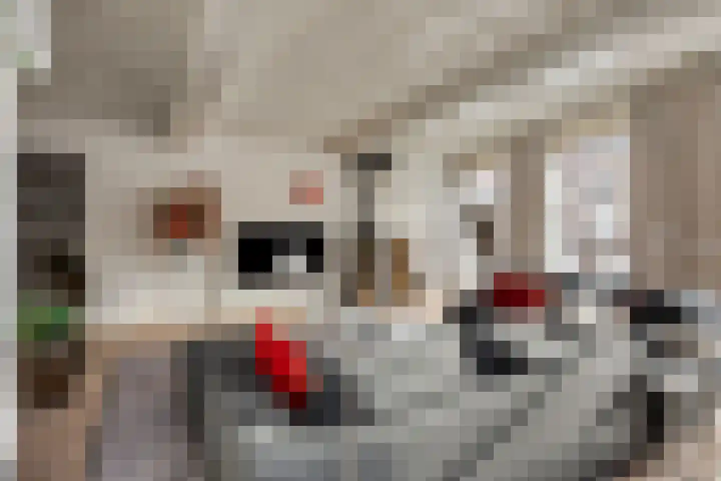 Wijdstraat 16 Oudewater thumbnail 26