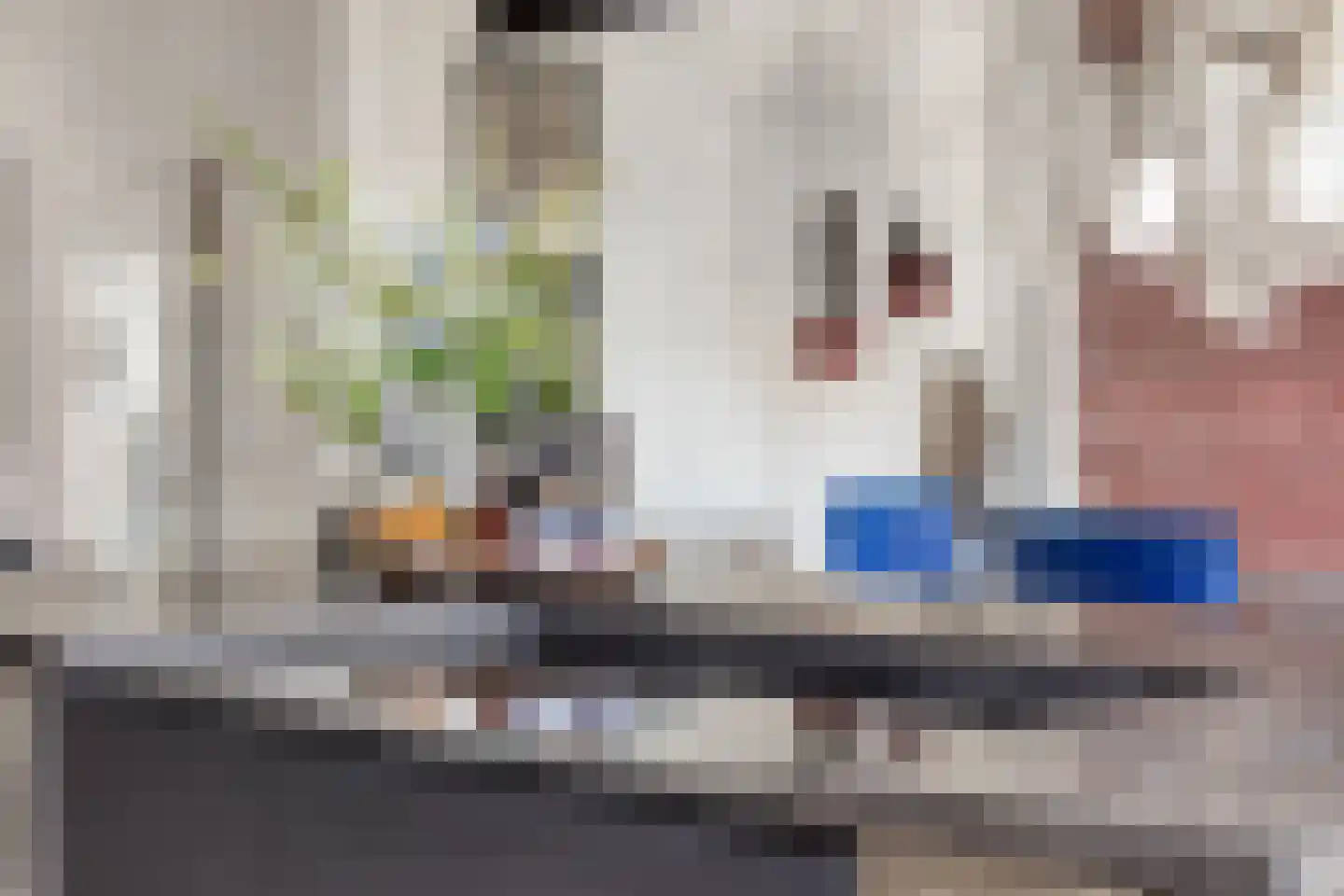 Wijdstraat 16 Oudewater thumbnail 35