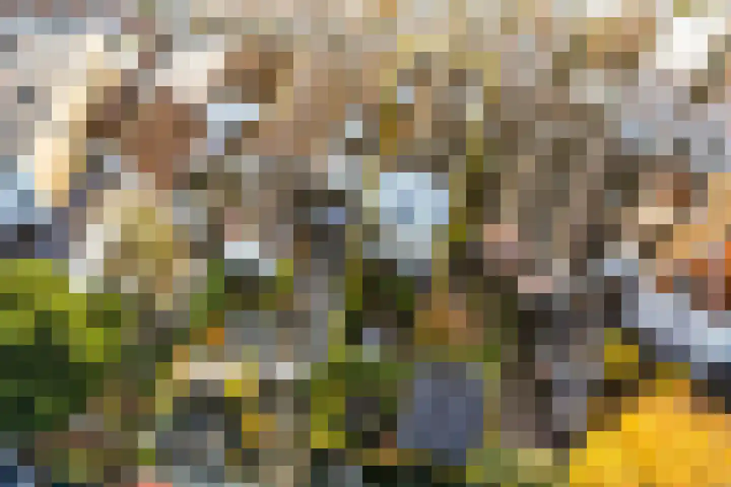 Wijdstraat 16 Oudewater thumbnail 47