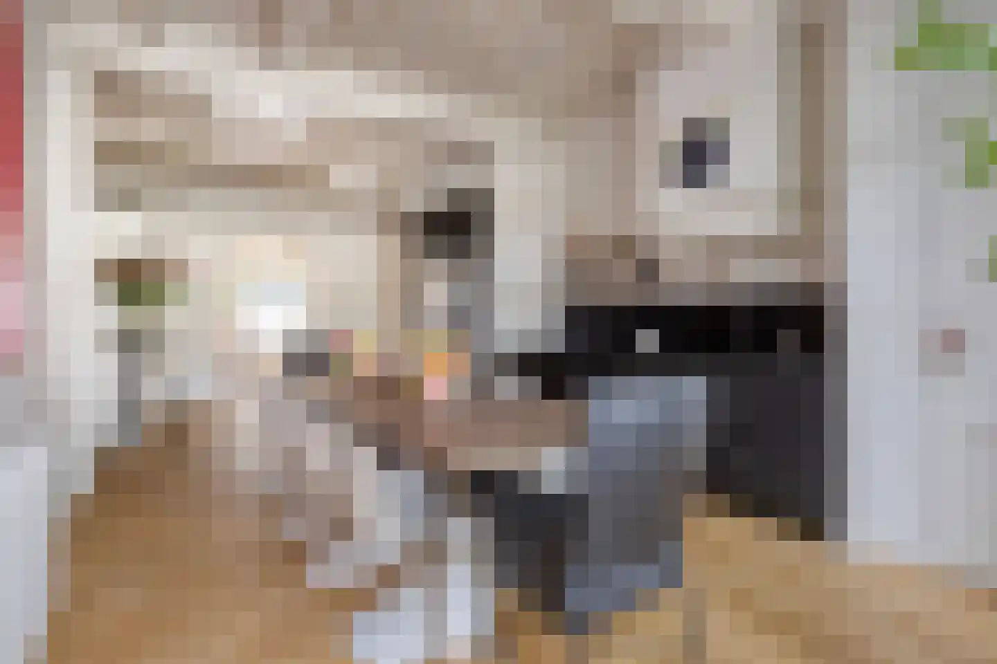 Wijdstraat 16 Oudewater thumbnail 7
