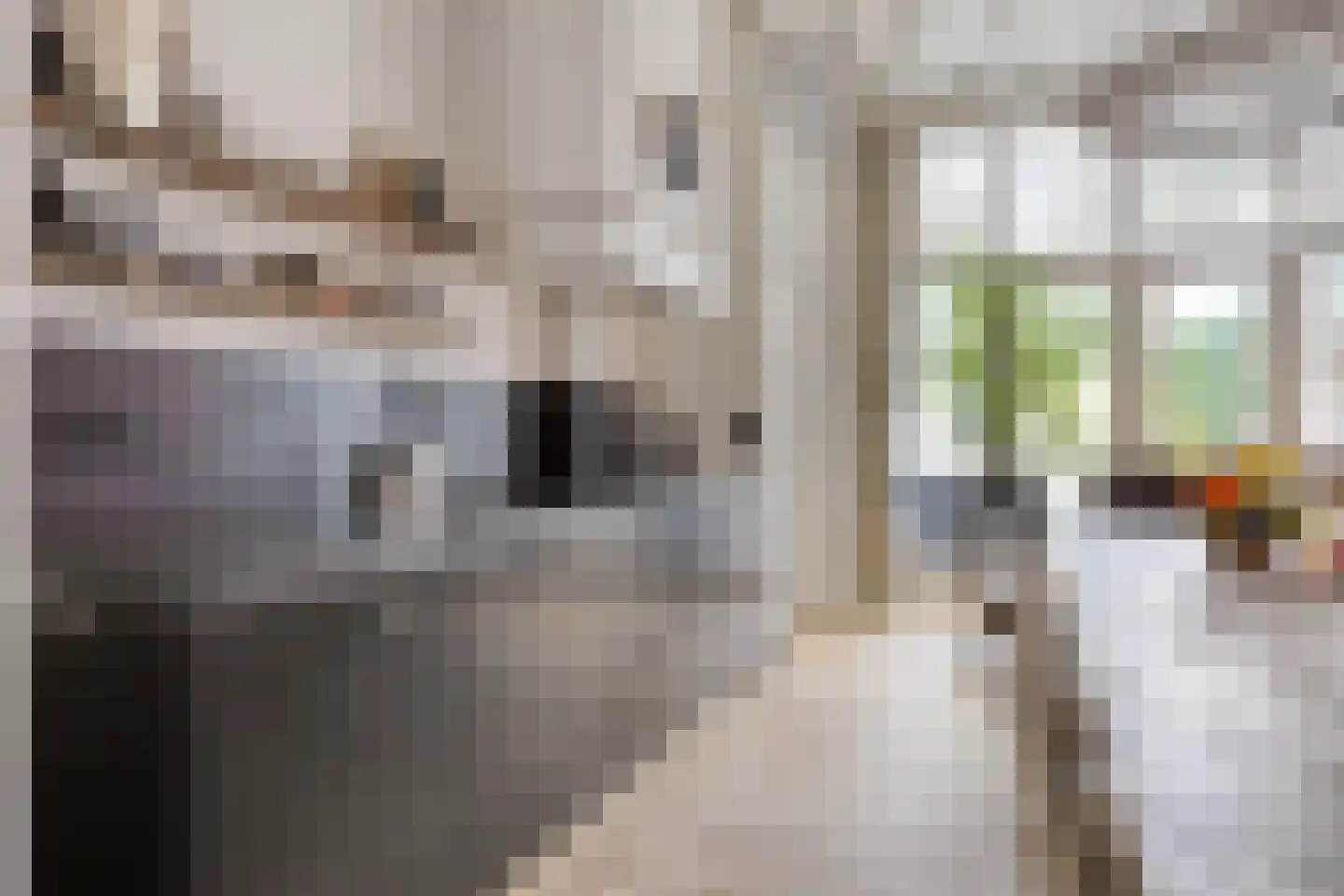 Wijdstraat 16 Oudewater thumbnail 9