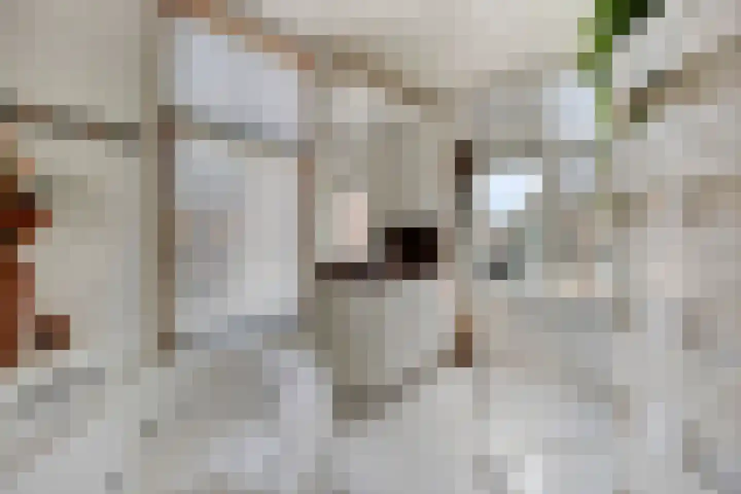 Wijdstraat 19 Oudewater thumbnail 27
