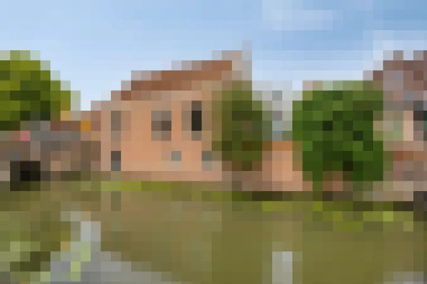 Wijdstraat 19 Oudewater thumbnail 43