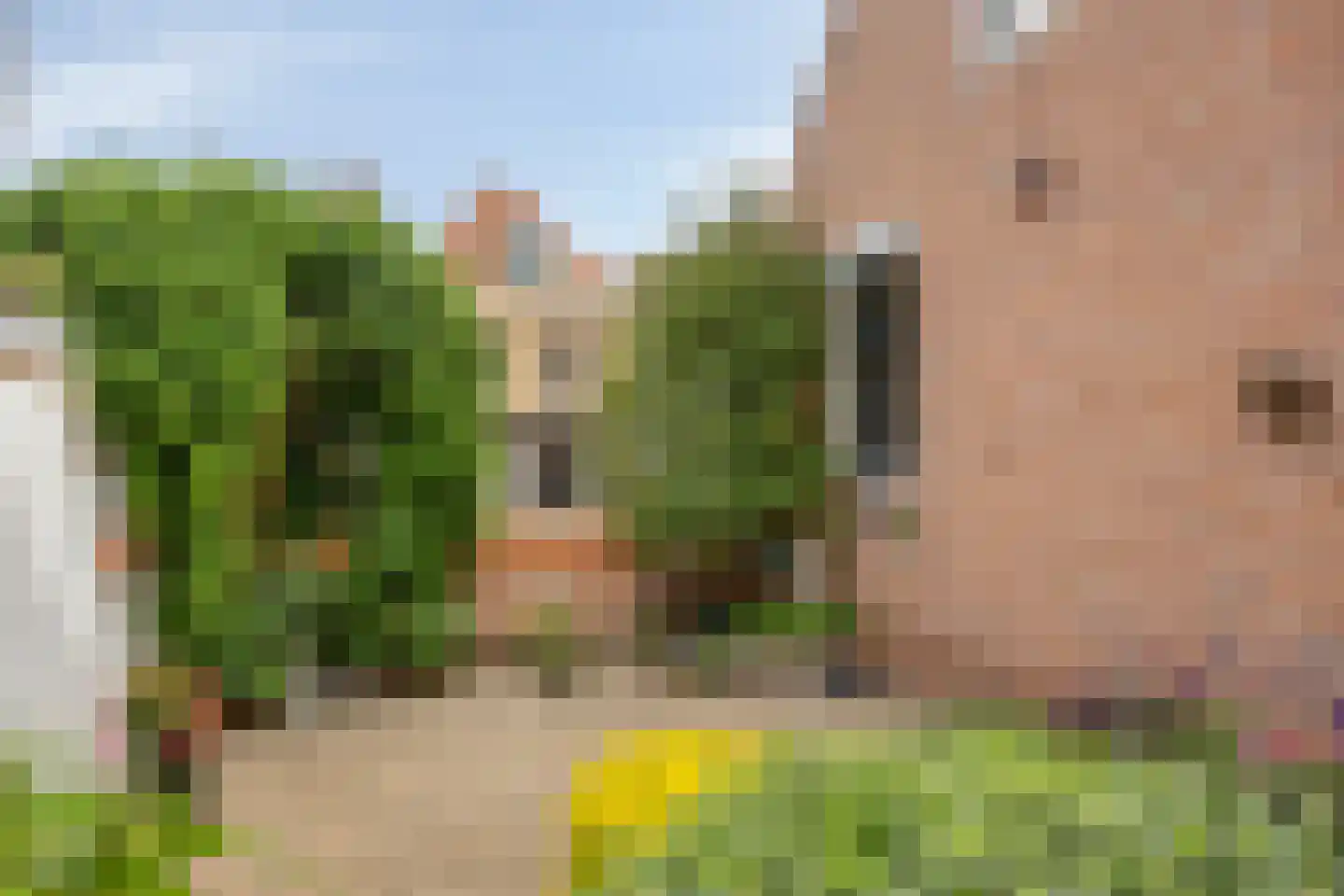 Wijdstraat 19 Oudewater thumbnail 9