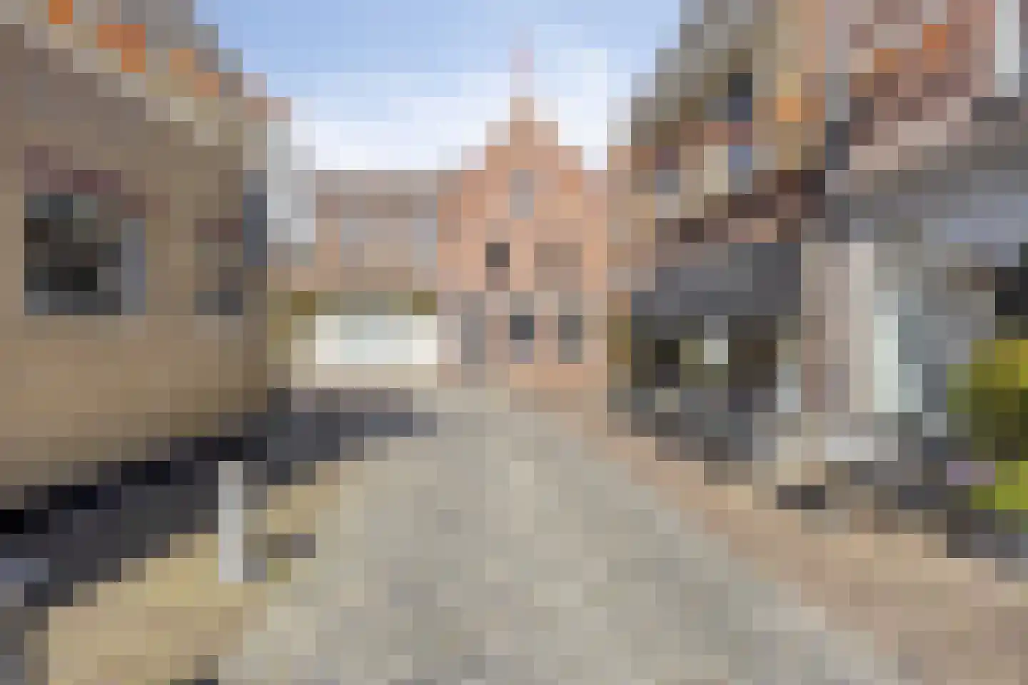 Wijdstraat 2 Oudewater