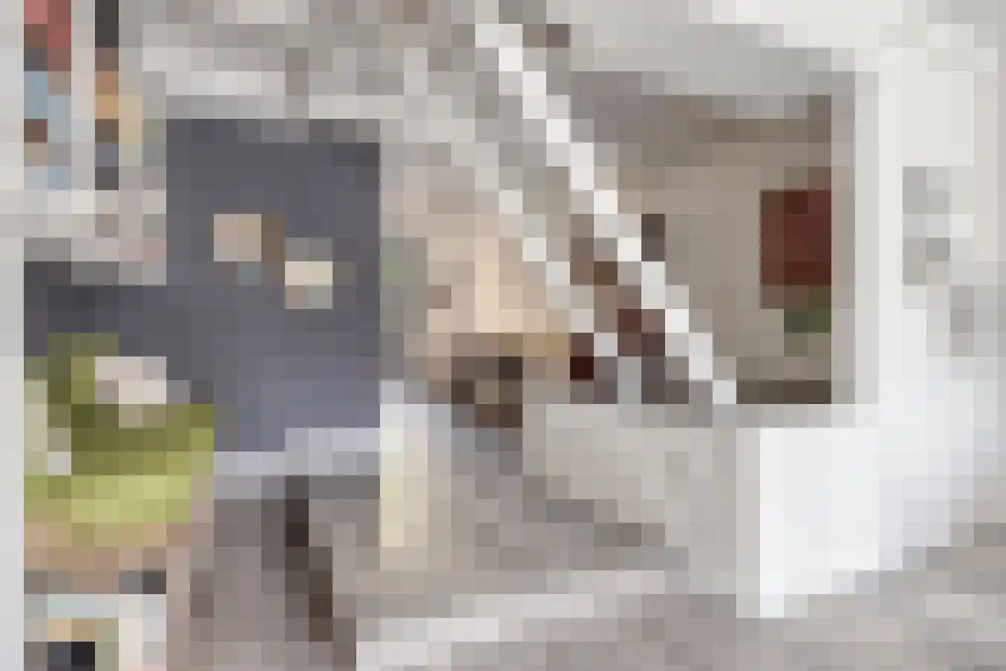 Wijdstraat 2 Oudewater thumbnail 11