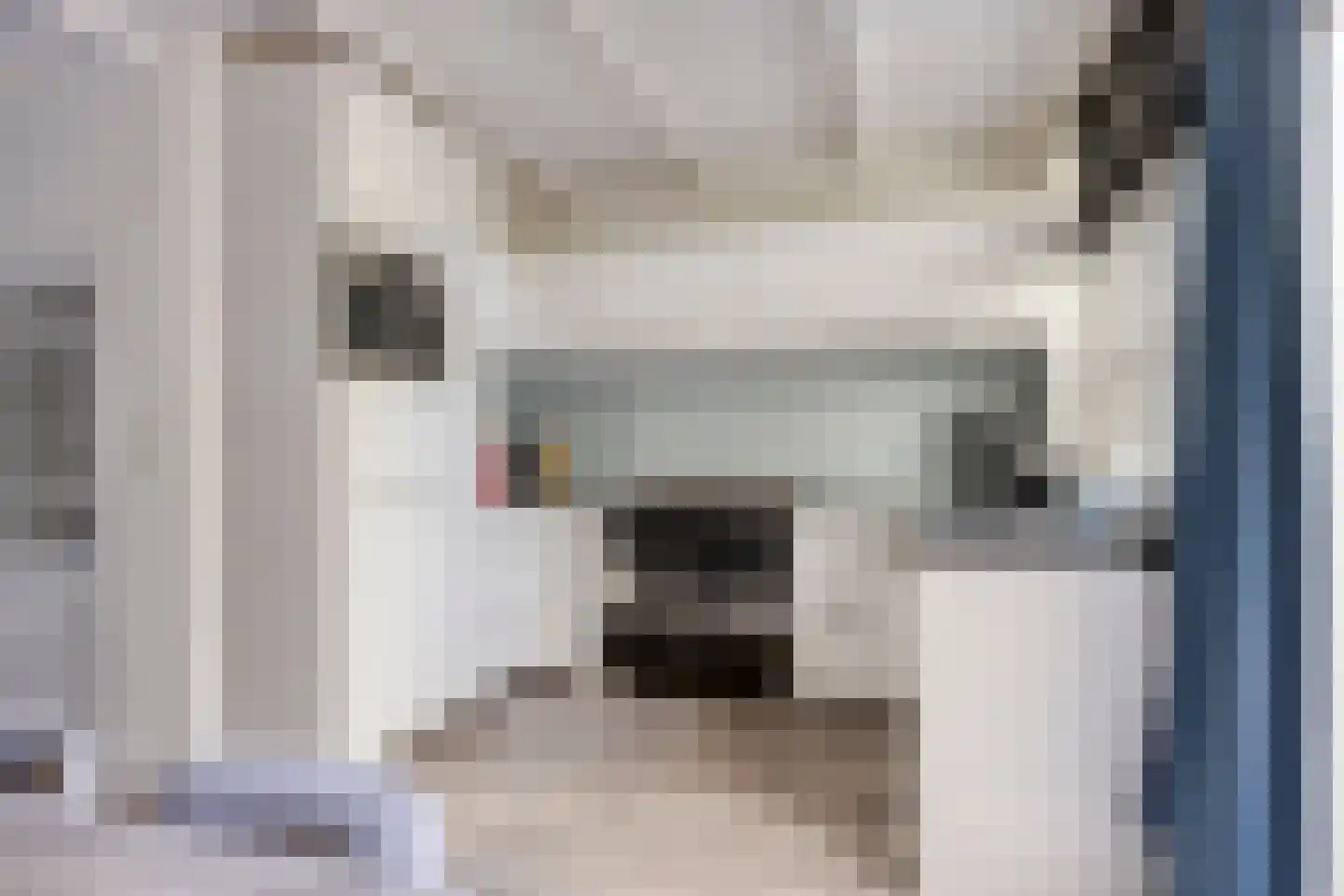 Wijdstraat 2 Oudewater thumbnail 17