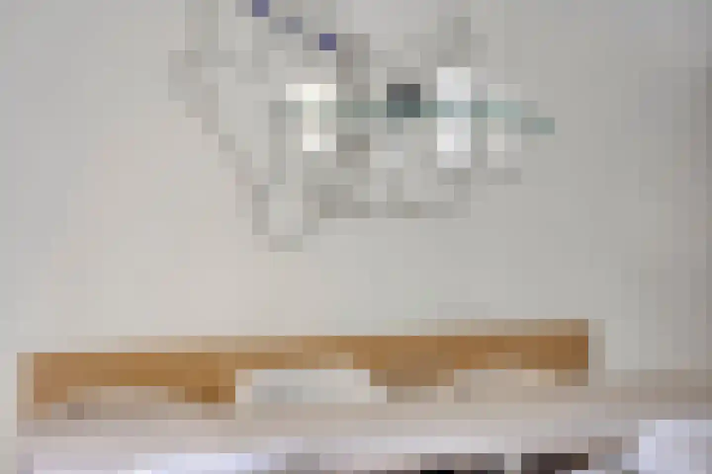 Wijdstraat 2 Oudewater thumbnail 22